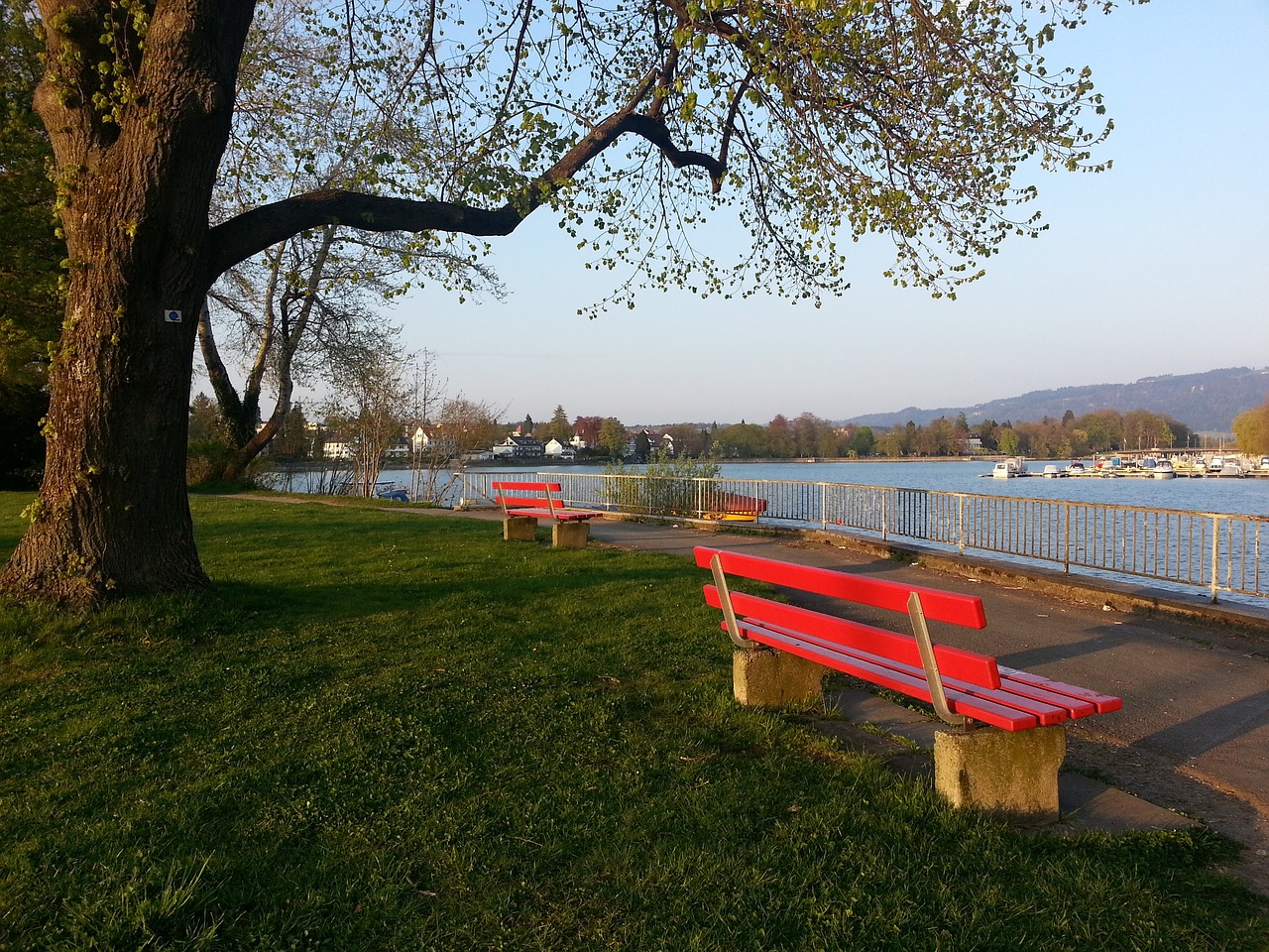 而冰刀的长 而冰刀的长