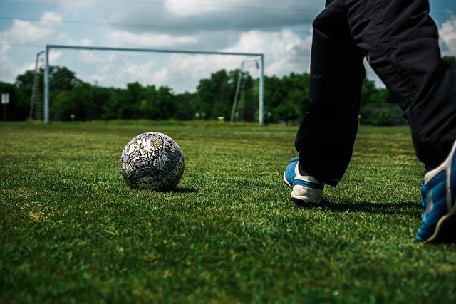 也是球迷们 也是球迷们