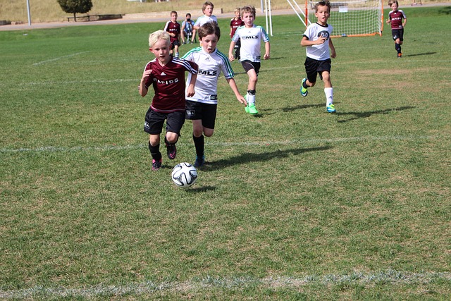 和竞争力 和竞争力