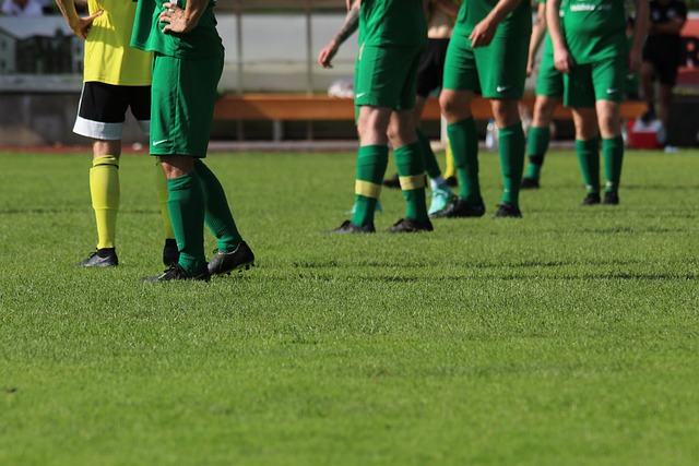 借助线上教 借助线上教