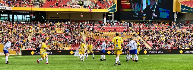 球迷们将见 球迷们将见