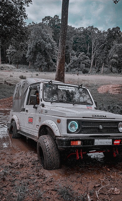 更是一场心 更是一场心