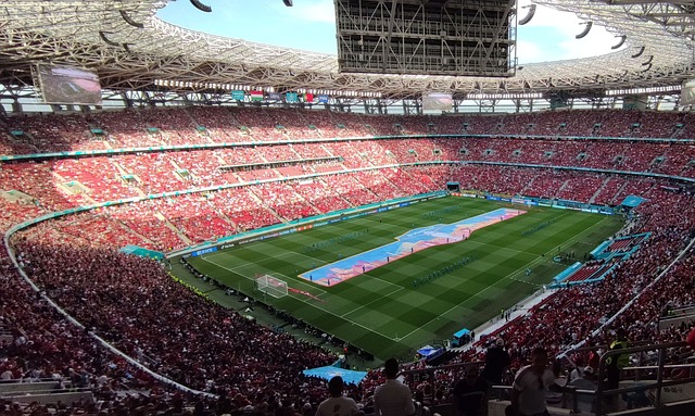 成为他们调 成为他们调