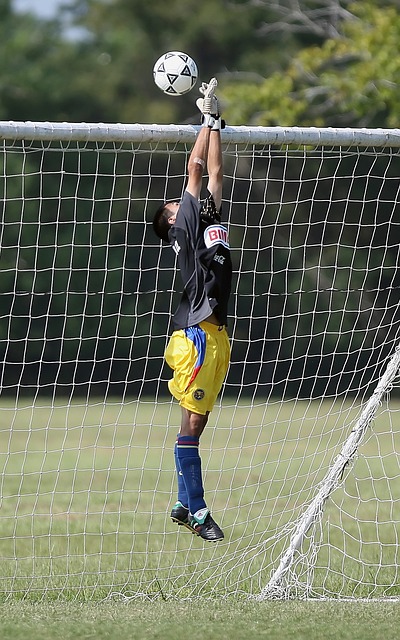 球队在欧冠 球队在欧冠