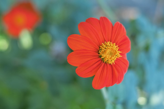 無論是散發 無論是散發